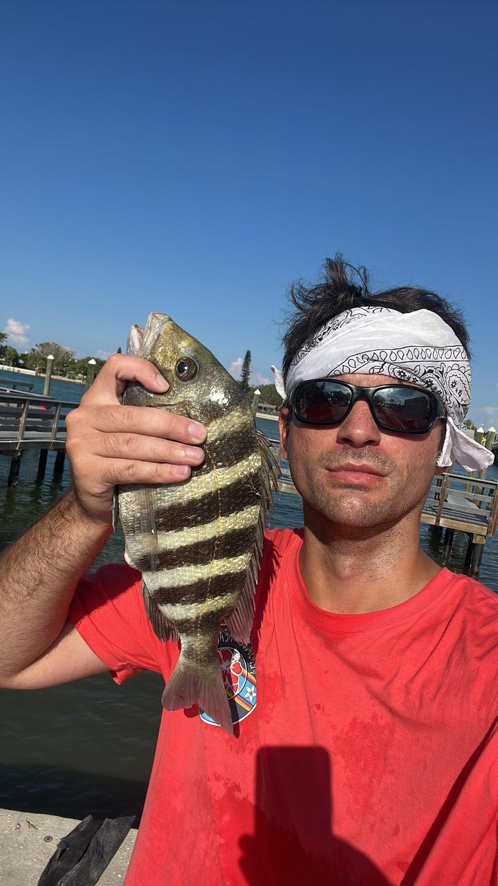 Profile photo 1 of 1