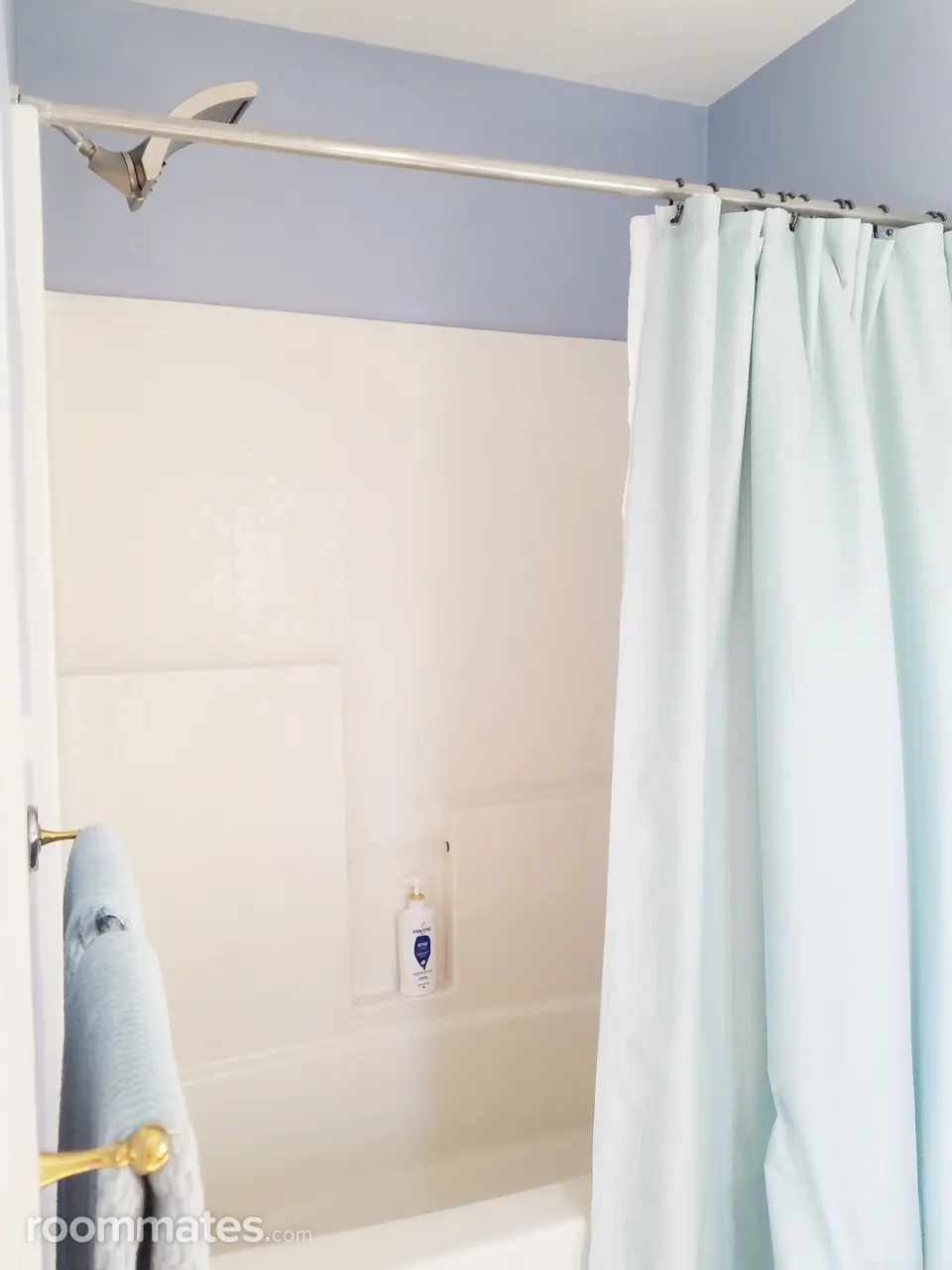 Profile photo 10 of 11