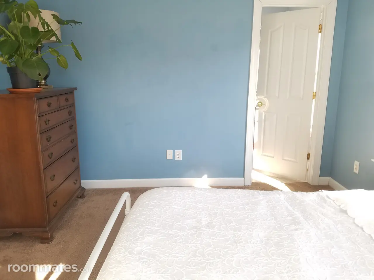 Profile photo 2 of 11