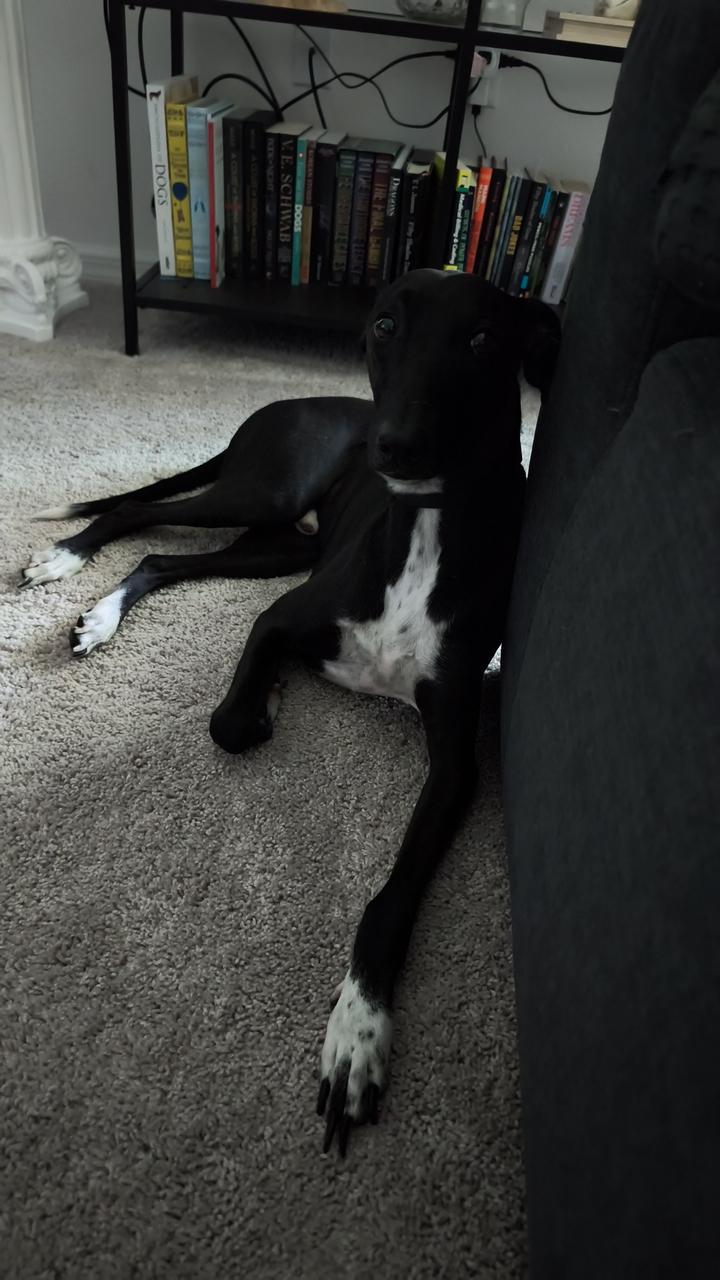 Profile photo 12 of 21