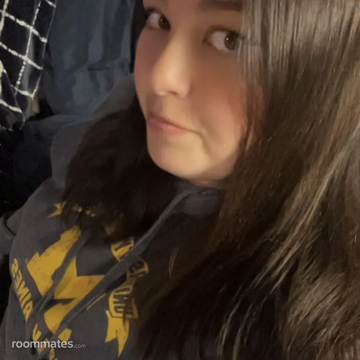 Roommate looking Saint Clair Shores, MI, $600