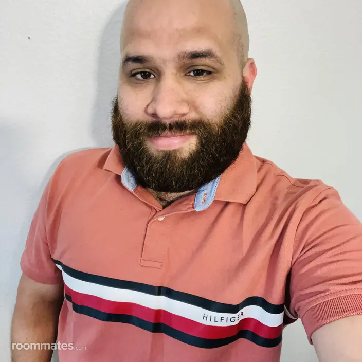 Roommate looking Davenport, FL, $500
