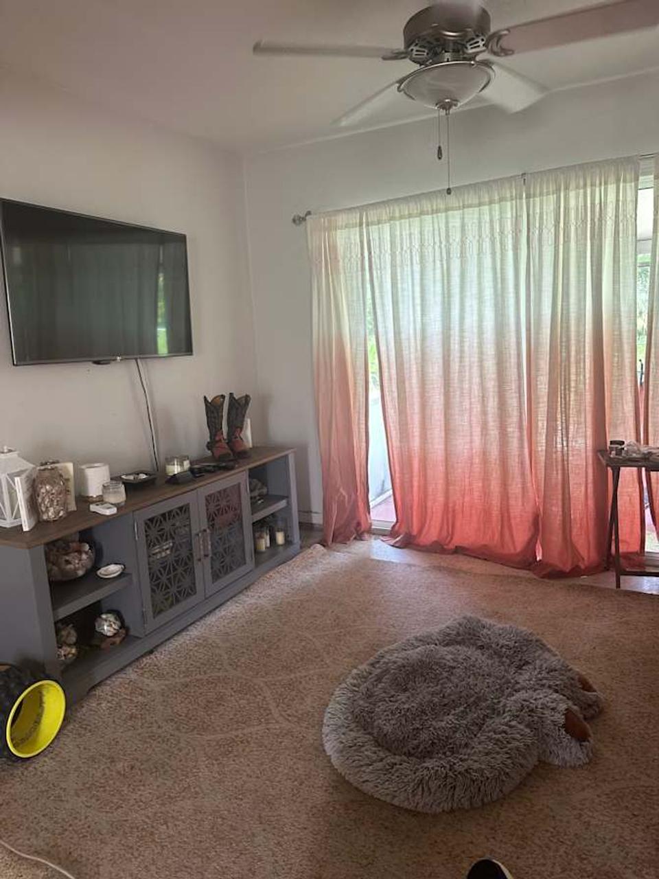 Profile photo 7 of 8