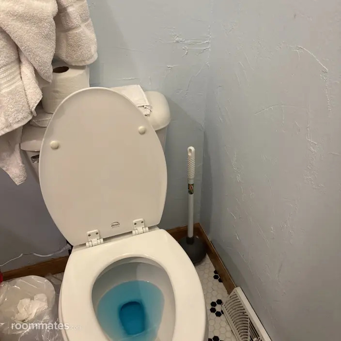 Room for rent in Shawano, WI $900, house