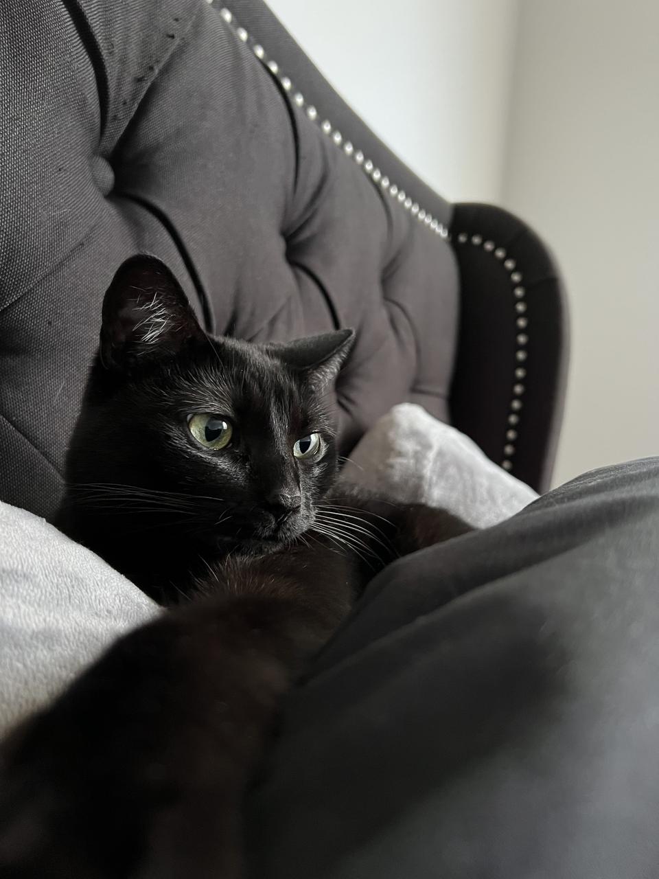 Profile photo 17 of 20