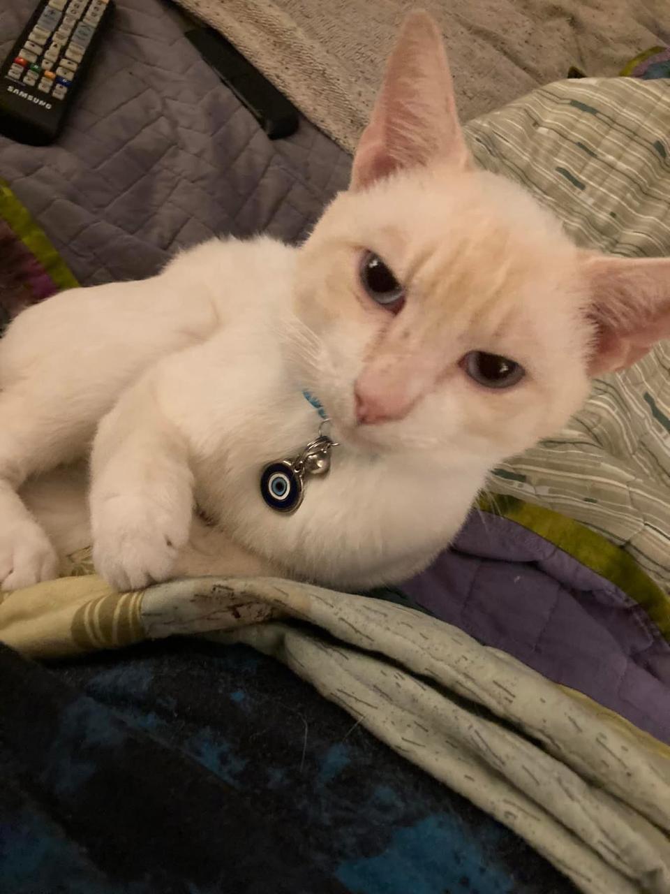 Profile photo 3 of 3