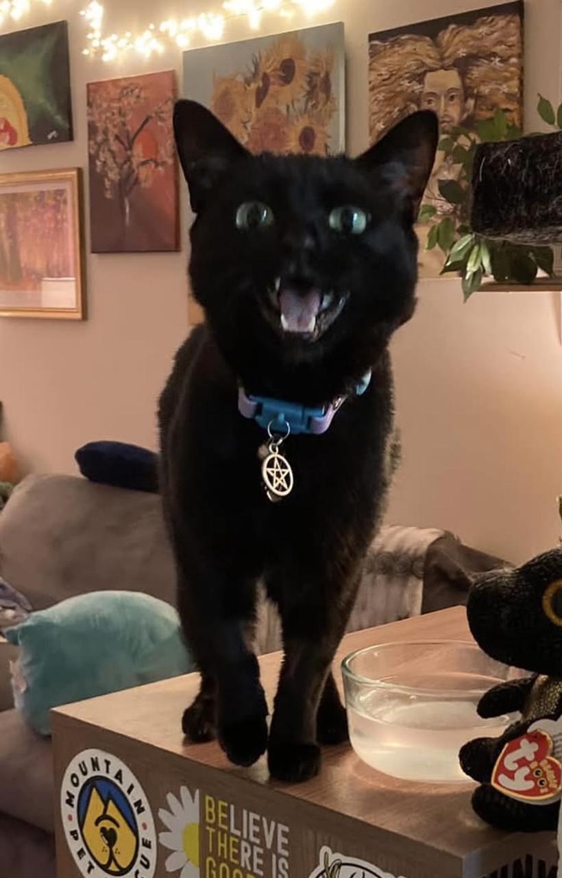 Profile photo 2 of 3