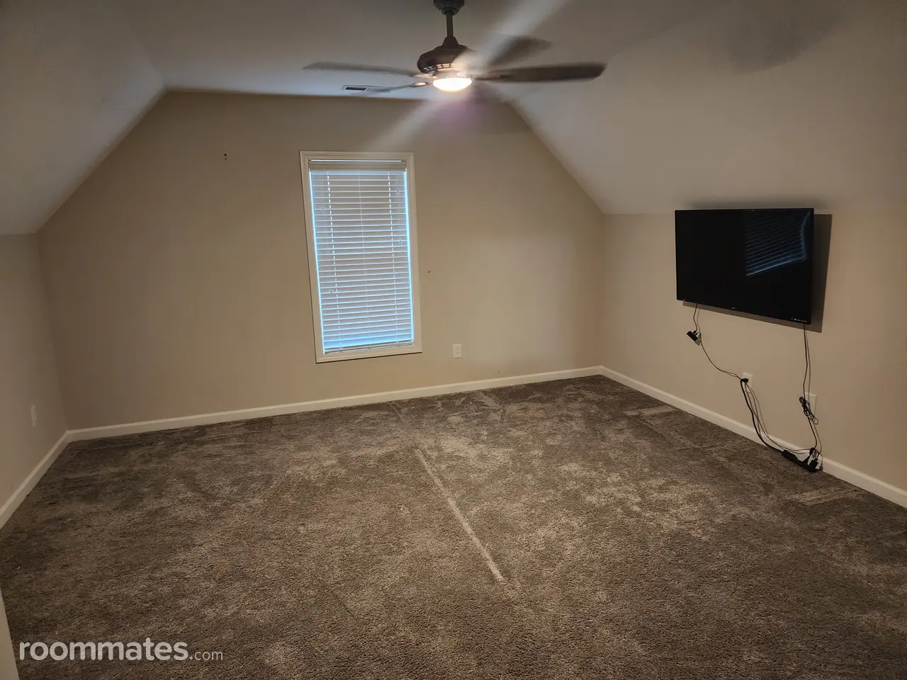 Profile photo 6 of 12