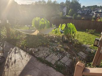 Room for rent in Clayton, NC $1000, house