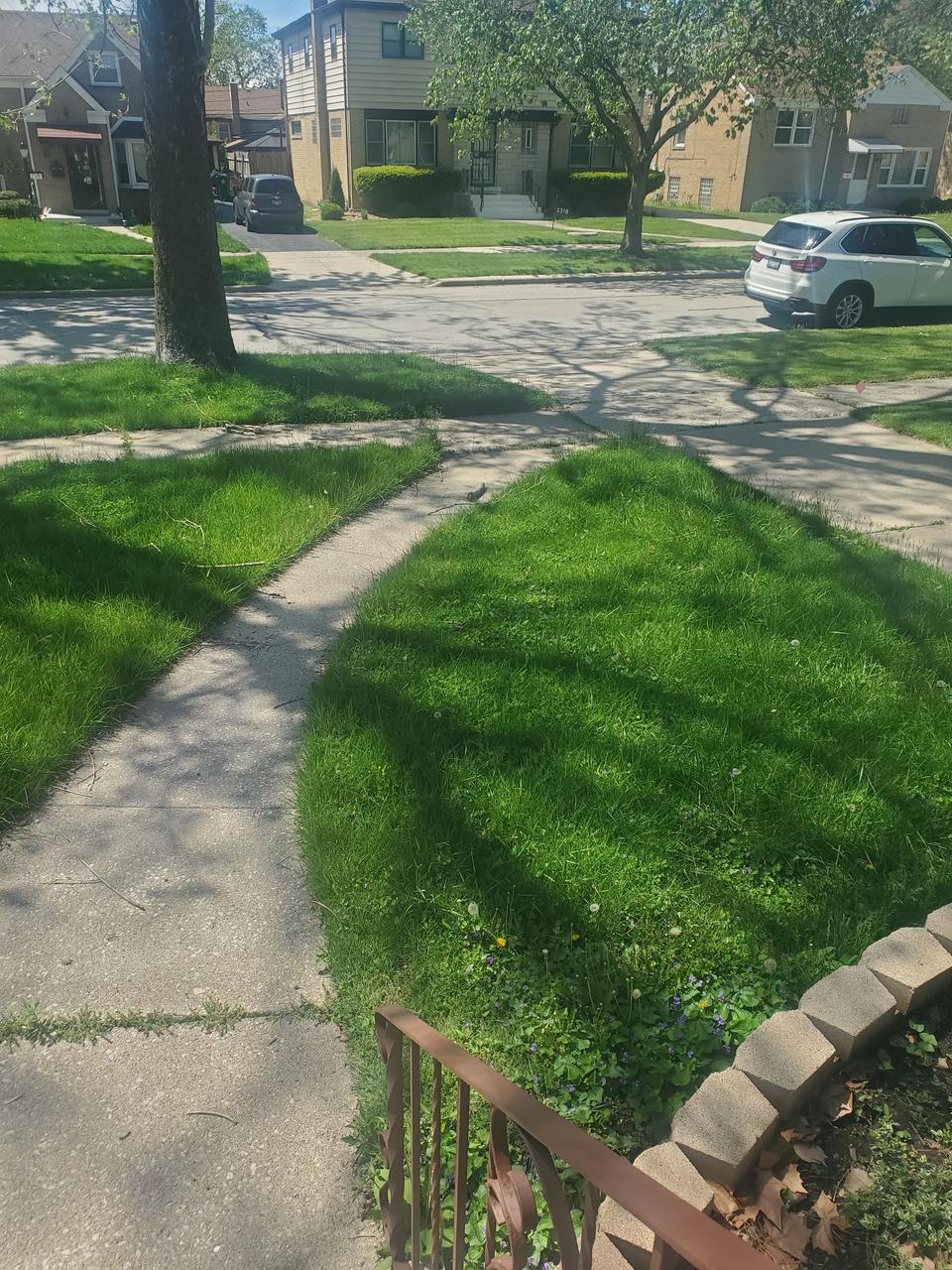 Profile photo 6 of 11