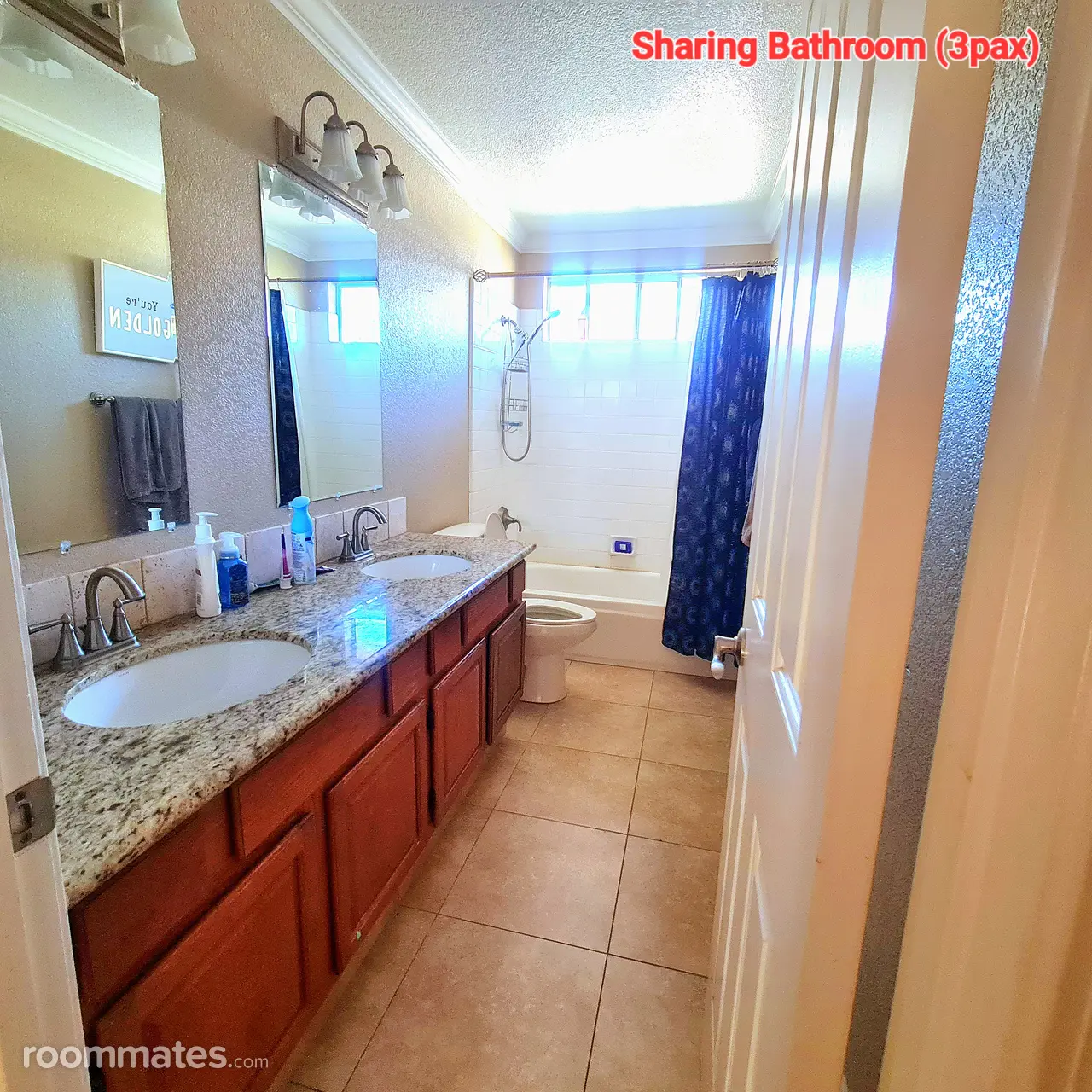 Profile photo 10 of 12