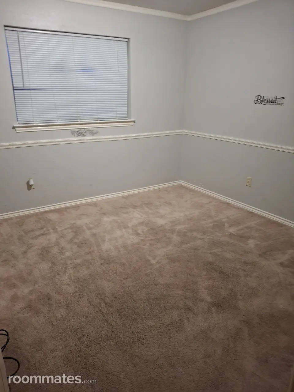 Profile photo 2 of 7