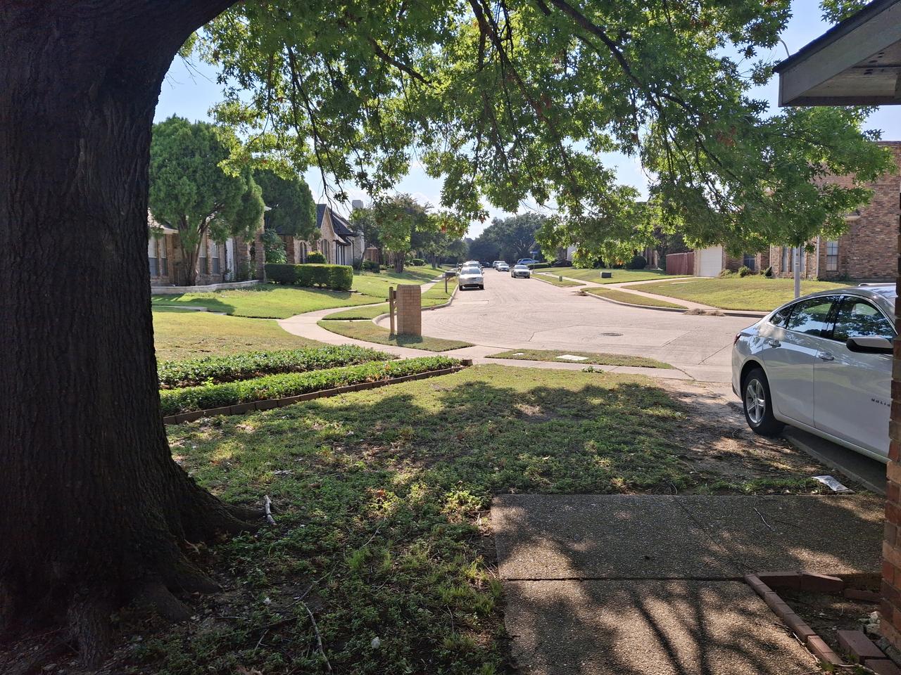 Profile photo 1 of 7