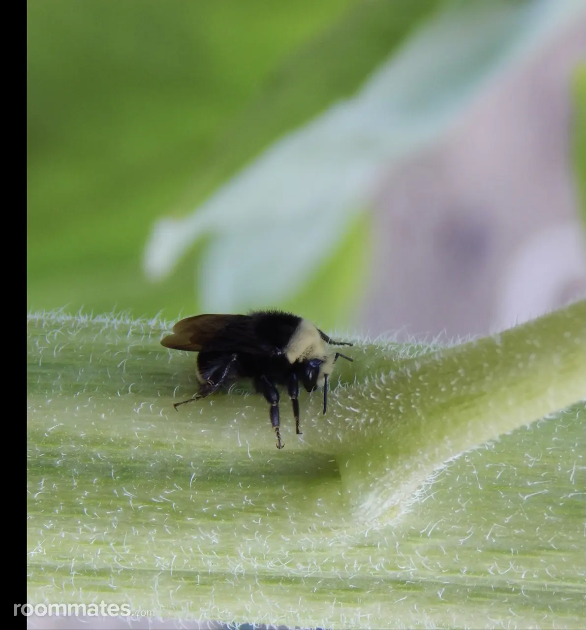 Profile photo 4 of 7