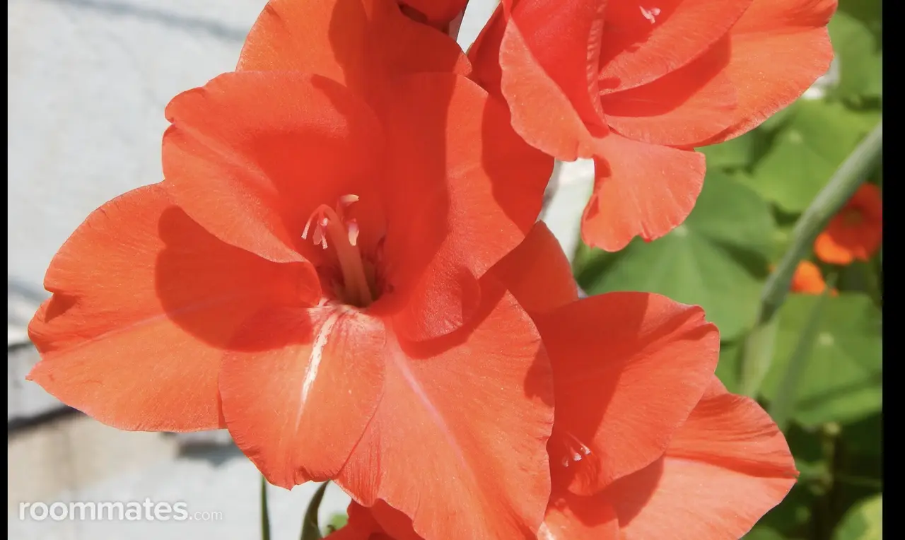 Profile photo 5 of 7