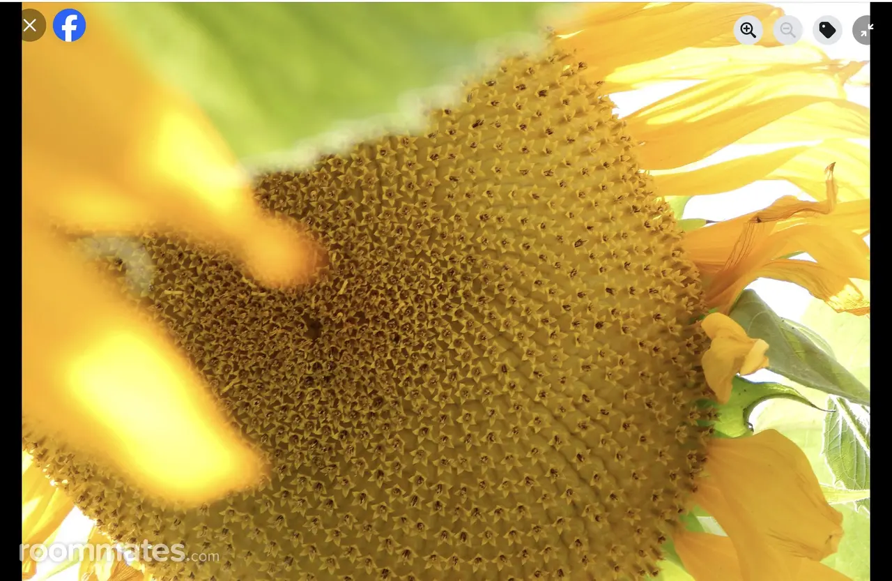 Profile photo 6 of 7