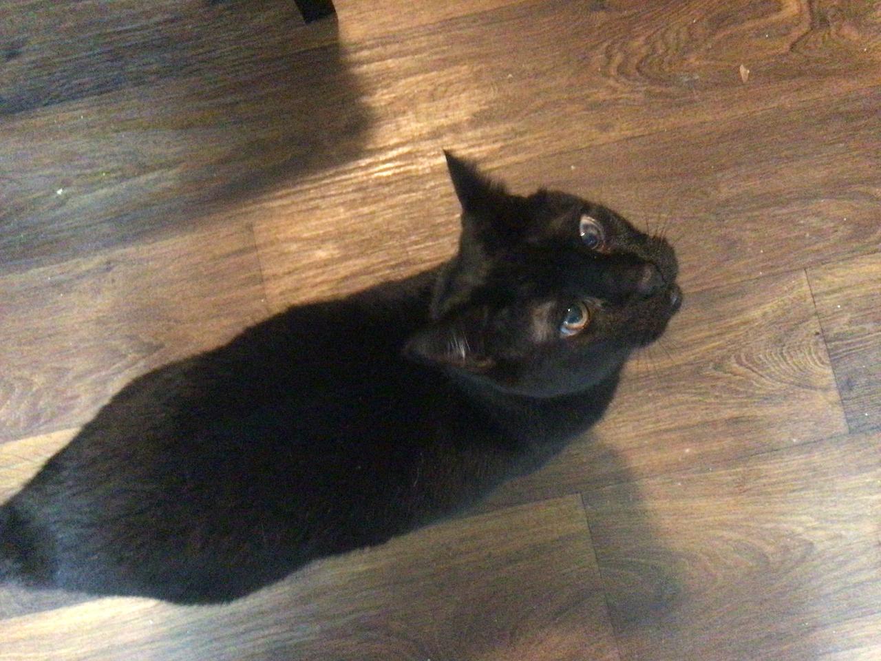 Profile photo 7 of 7