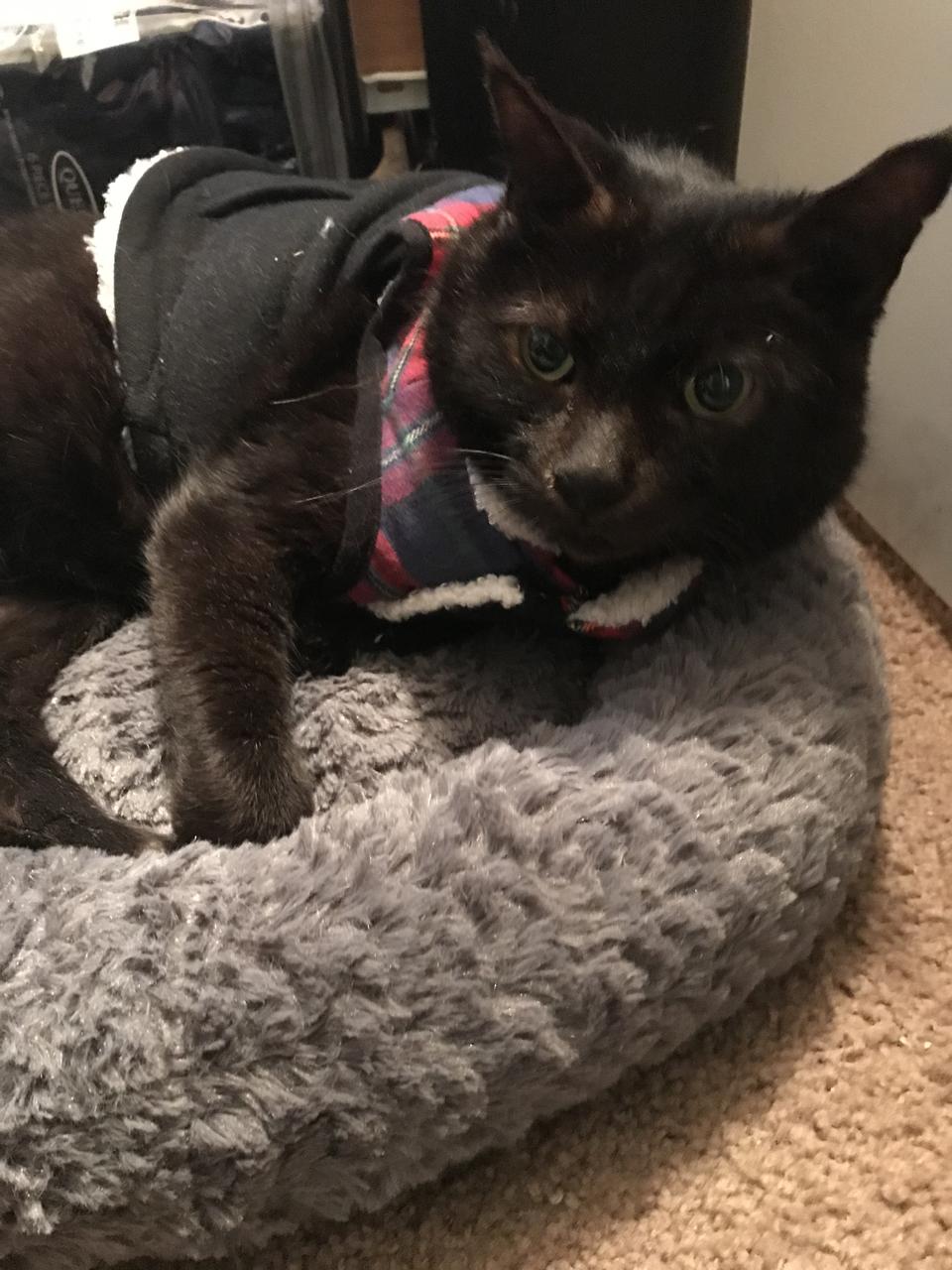 Profile photo 1 of 7