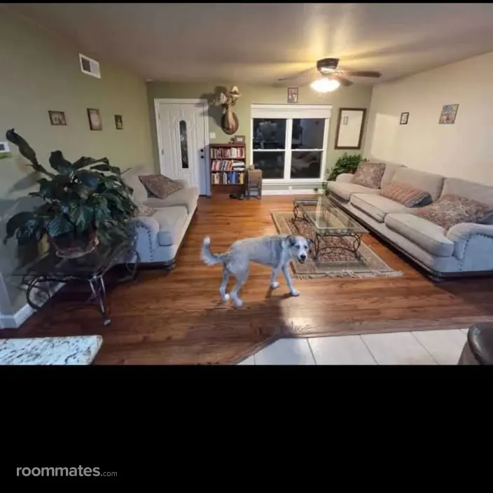 Room for rent in Rockwall, TX $800, house