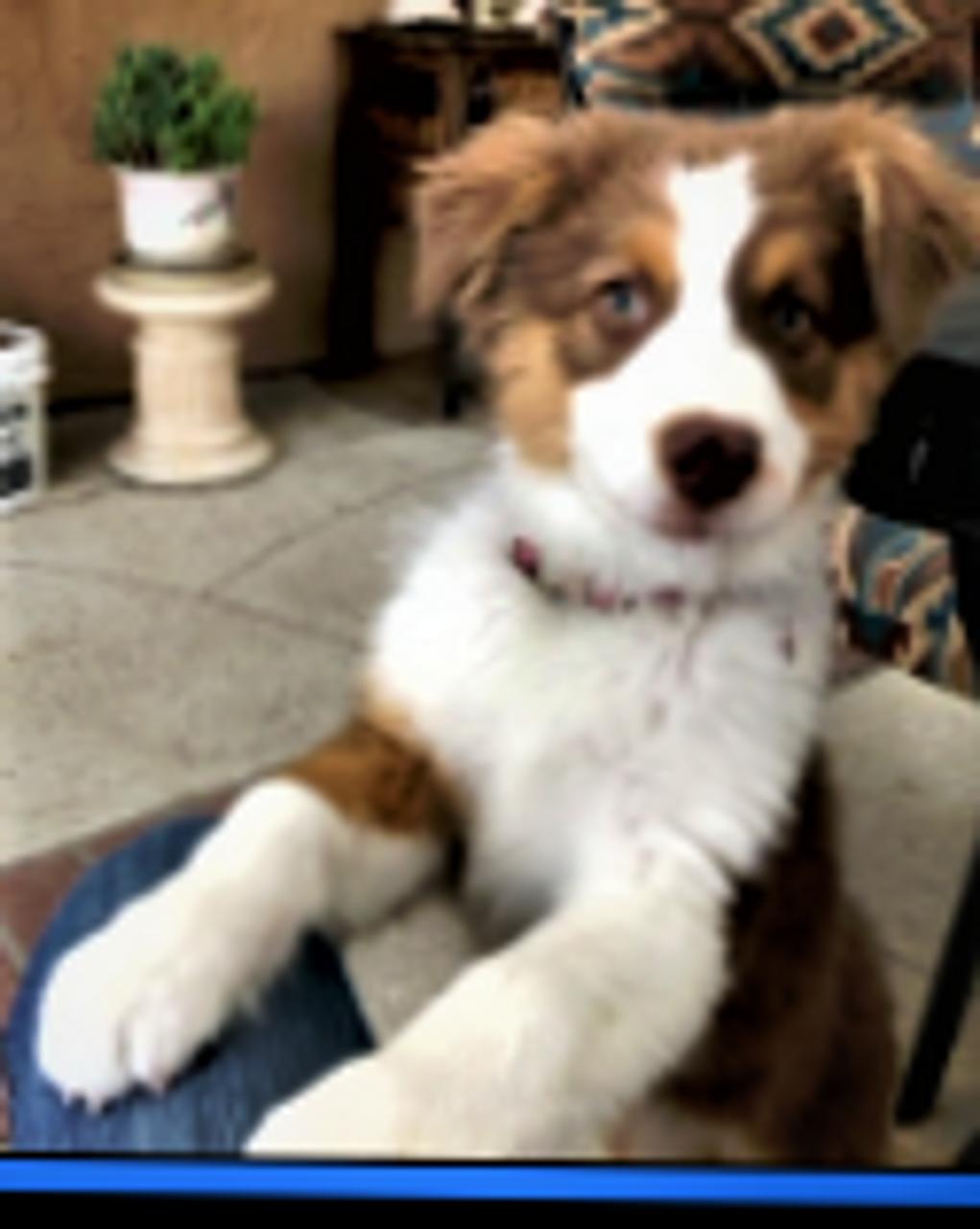 Profile photo 7 of 8