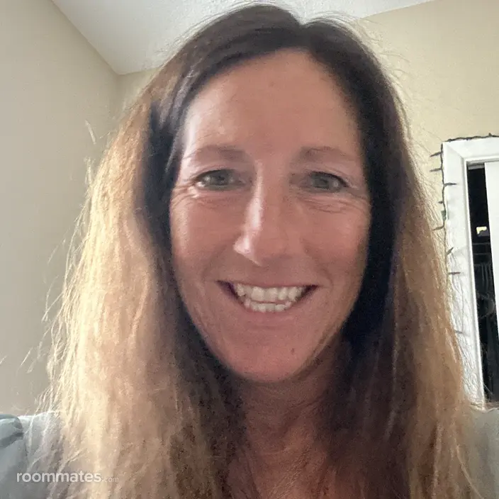 Roommate looking Dunedin, FL, $900