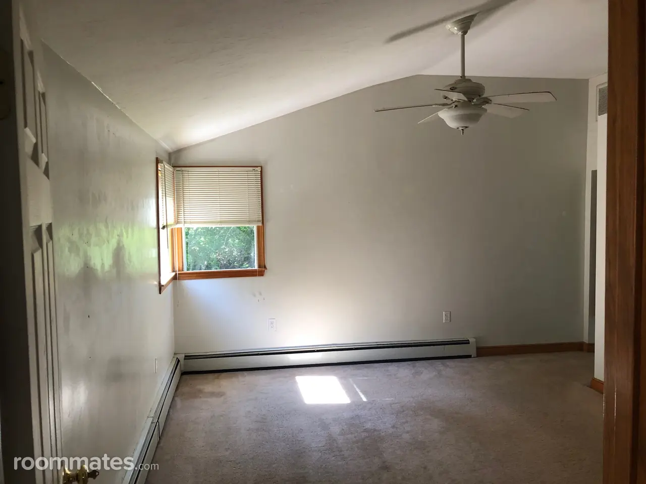 Profile photo 2 of 7