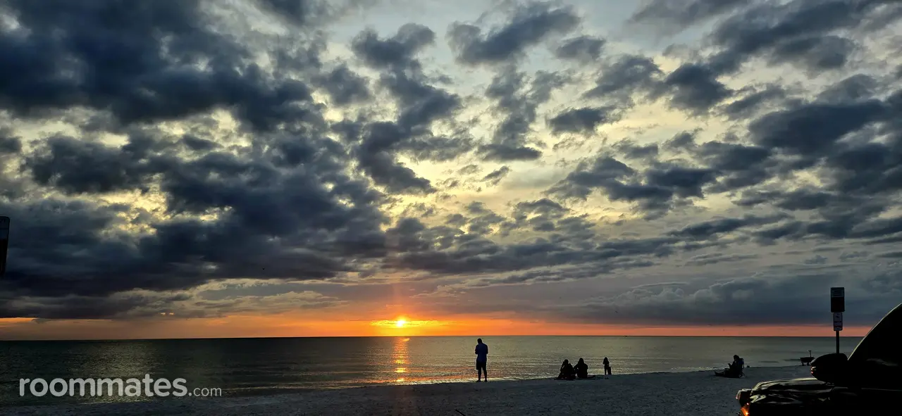 Profile photo 8 of 11