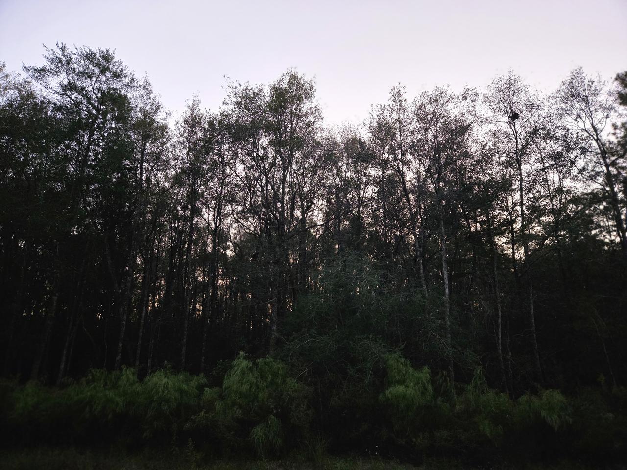 Profile photo 12 of 13