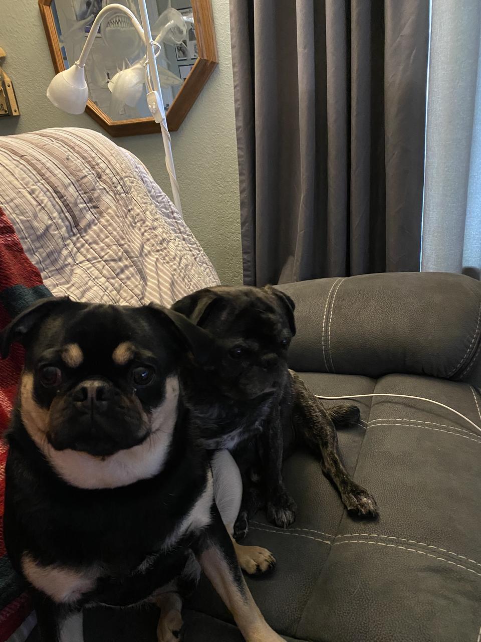 Profile photo 2 of 5