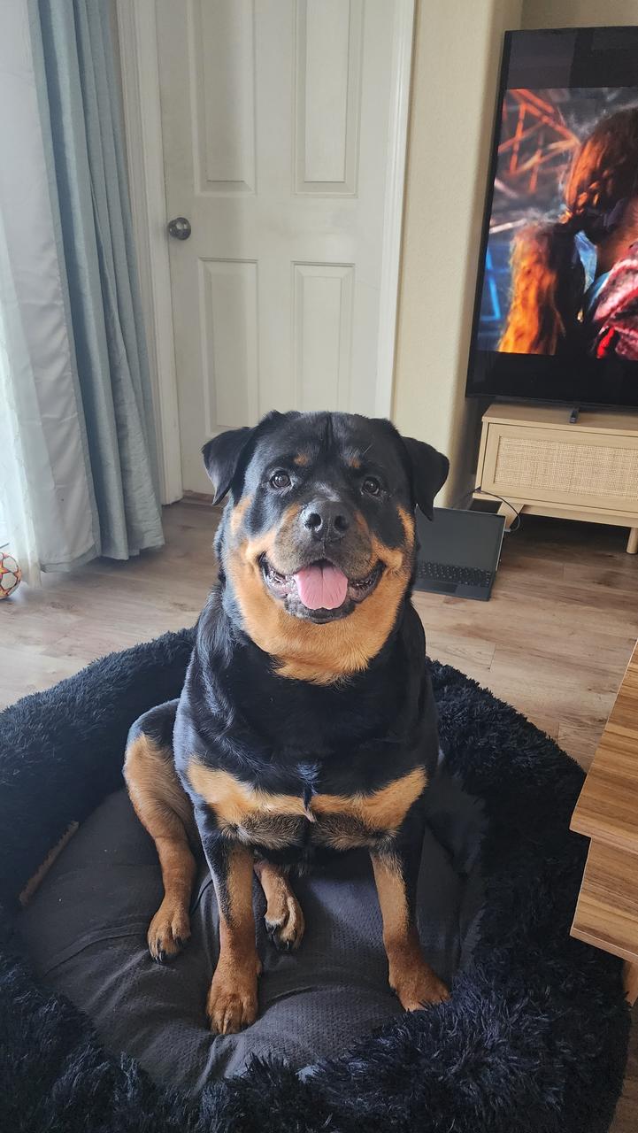 Profile photo 10 of 11