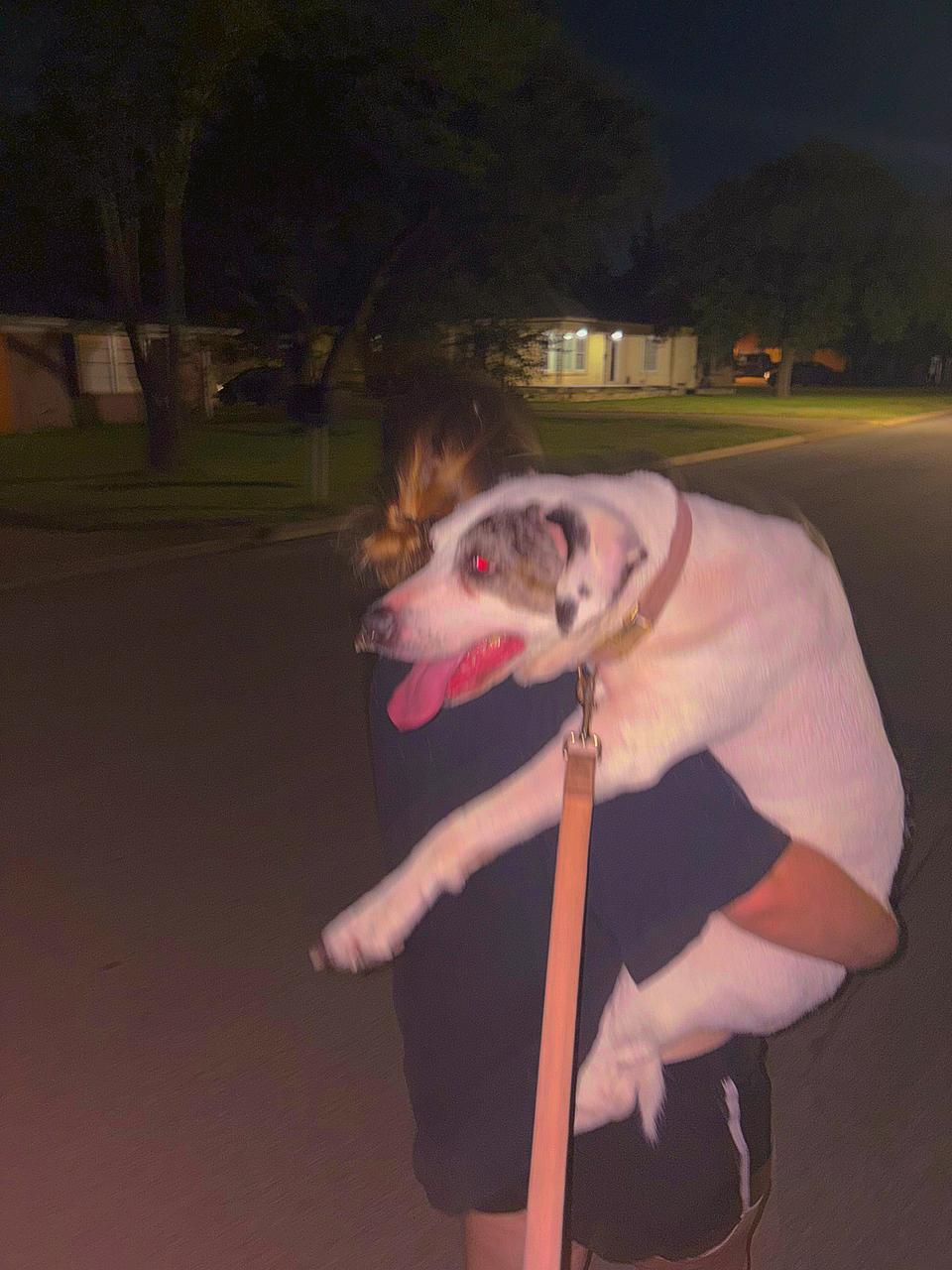 Profile photo 2 of 2