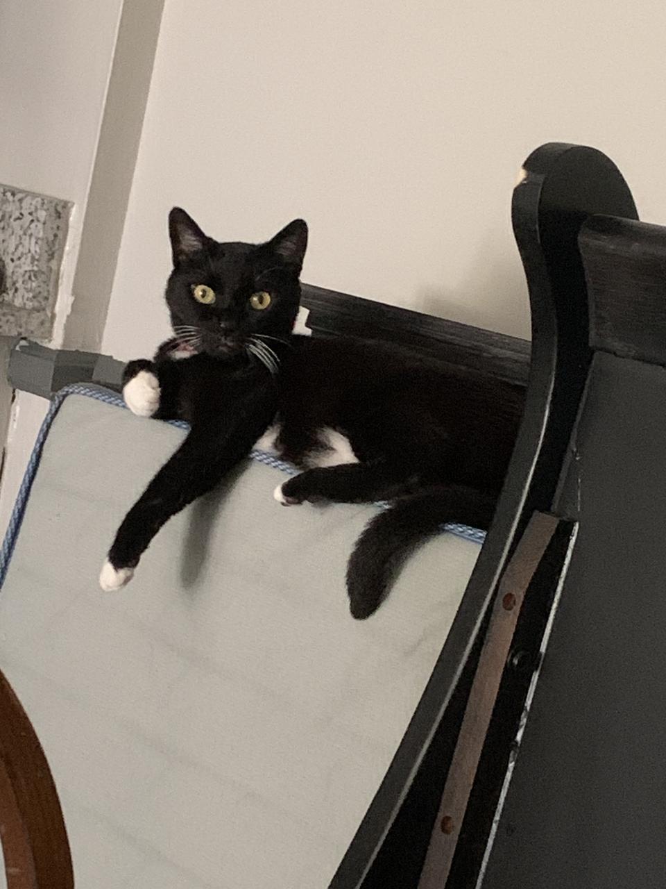 Profile photo 1 of 1