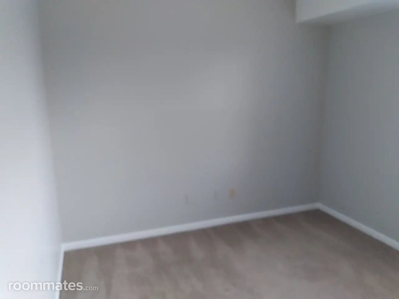 Profile photo 2 of 14