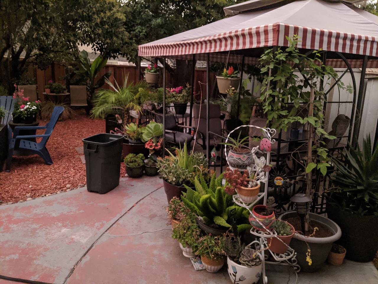 Profile photo 4 of 9