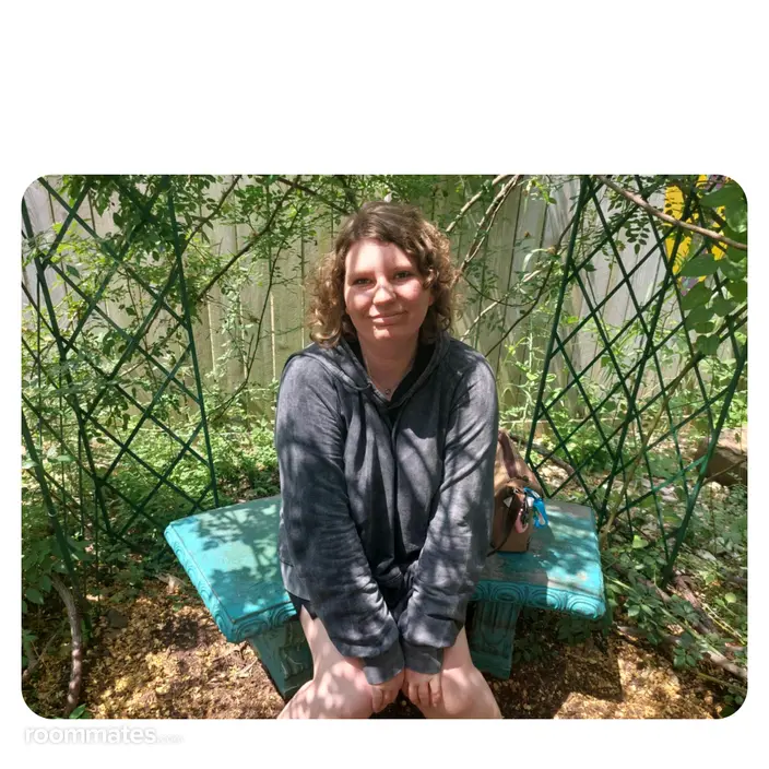 Roommate looking Lancaster, TX, $700