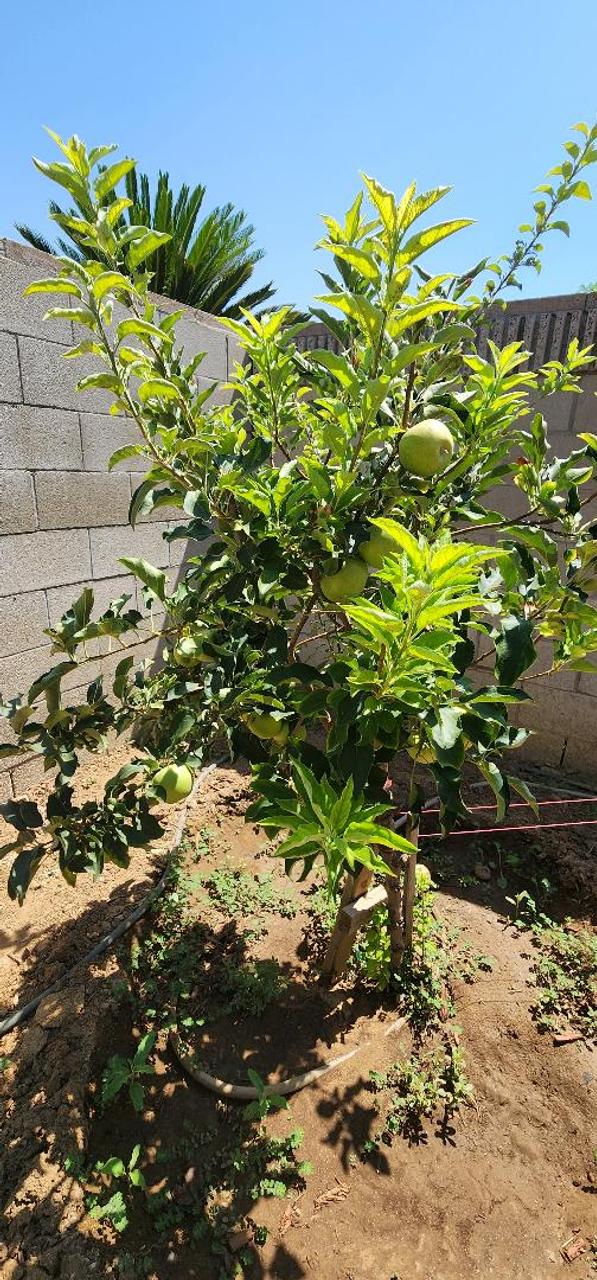 Profile photo 7 of 10