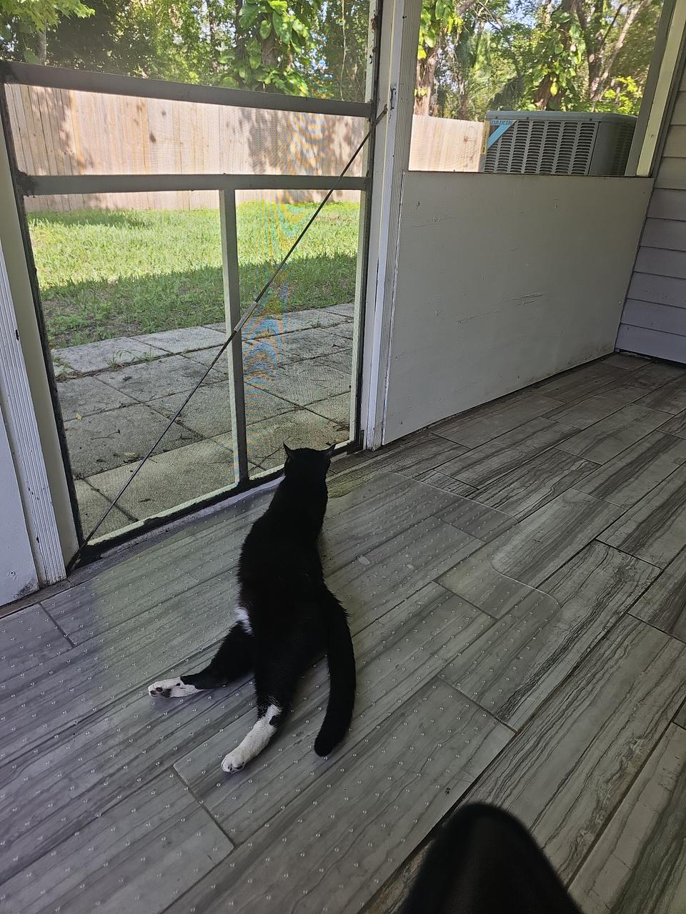 Profile photo 1 of 2