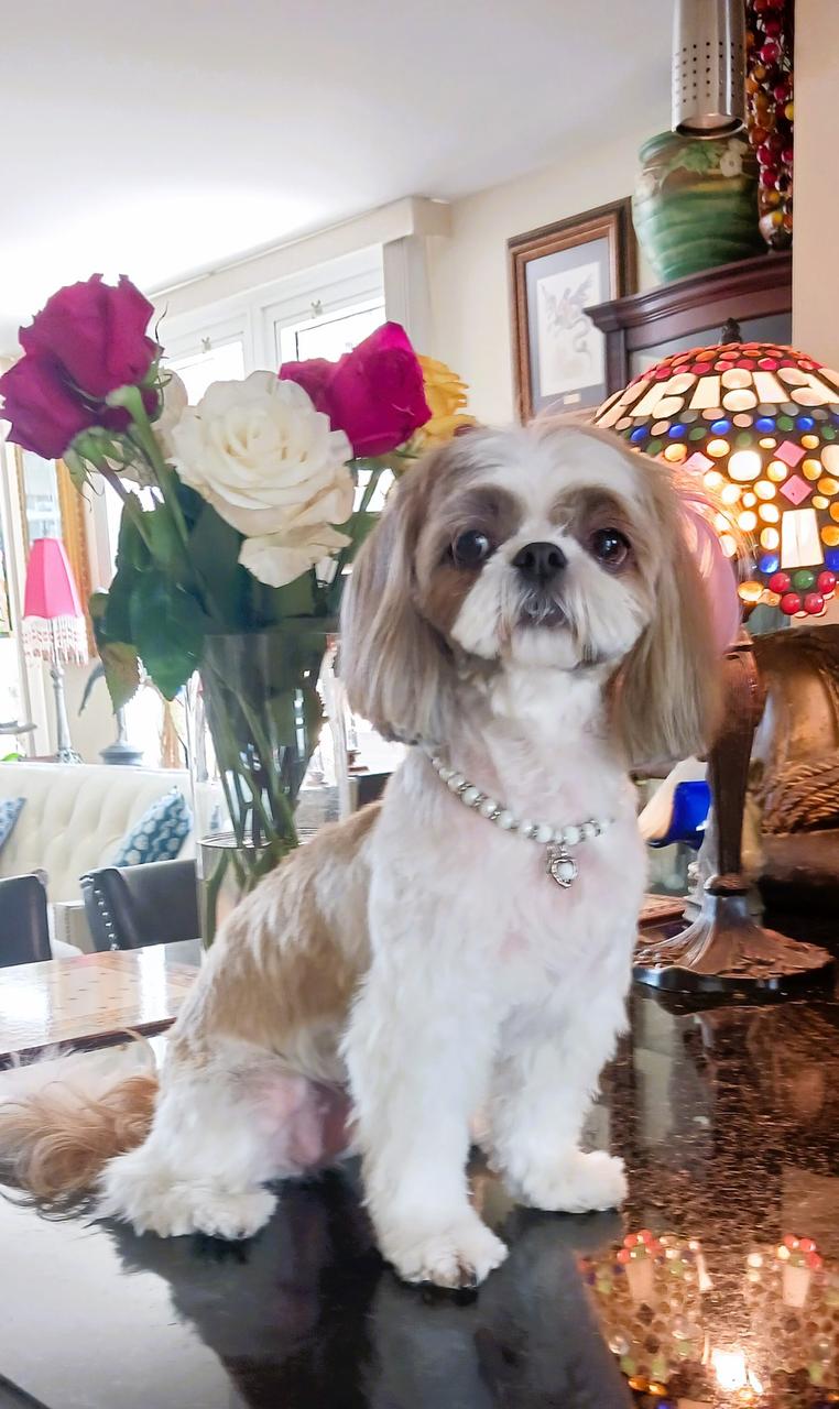 Profile photo 14 of 15