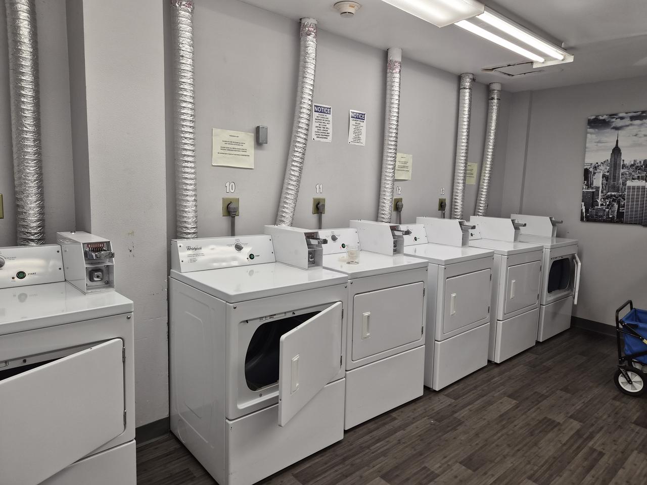 Profile photo 10 of 15