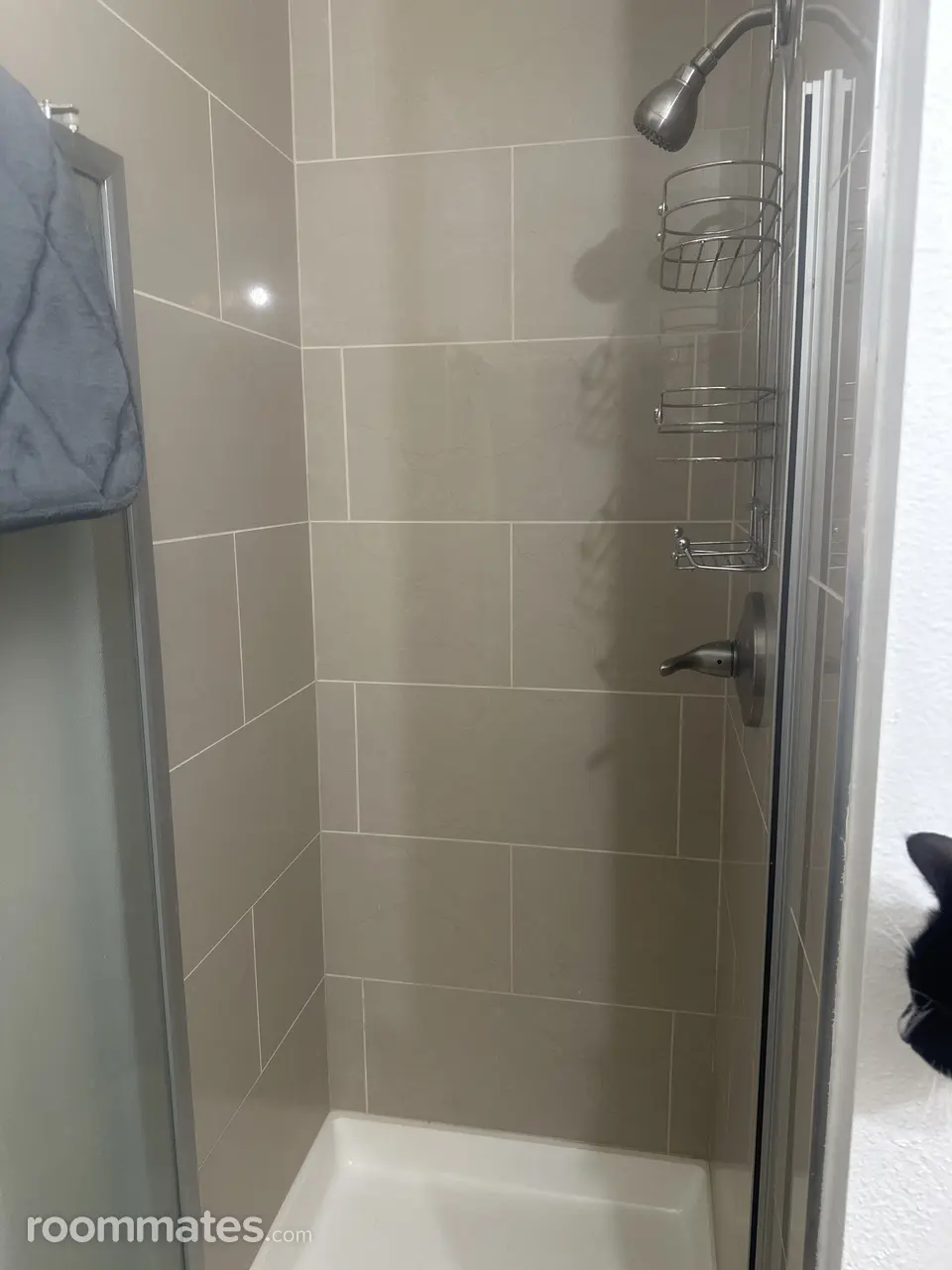 Profile photo 8 of 11