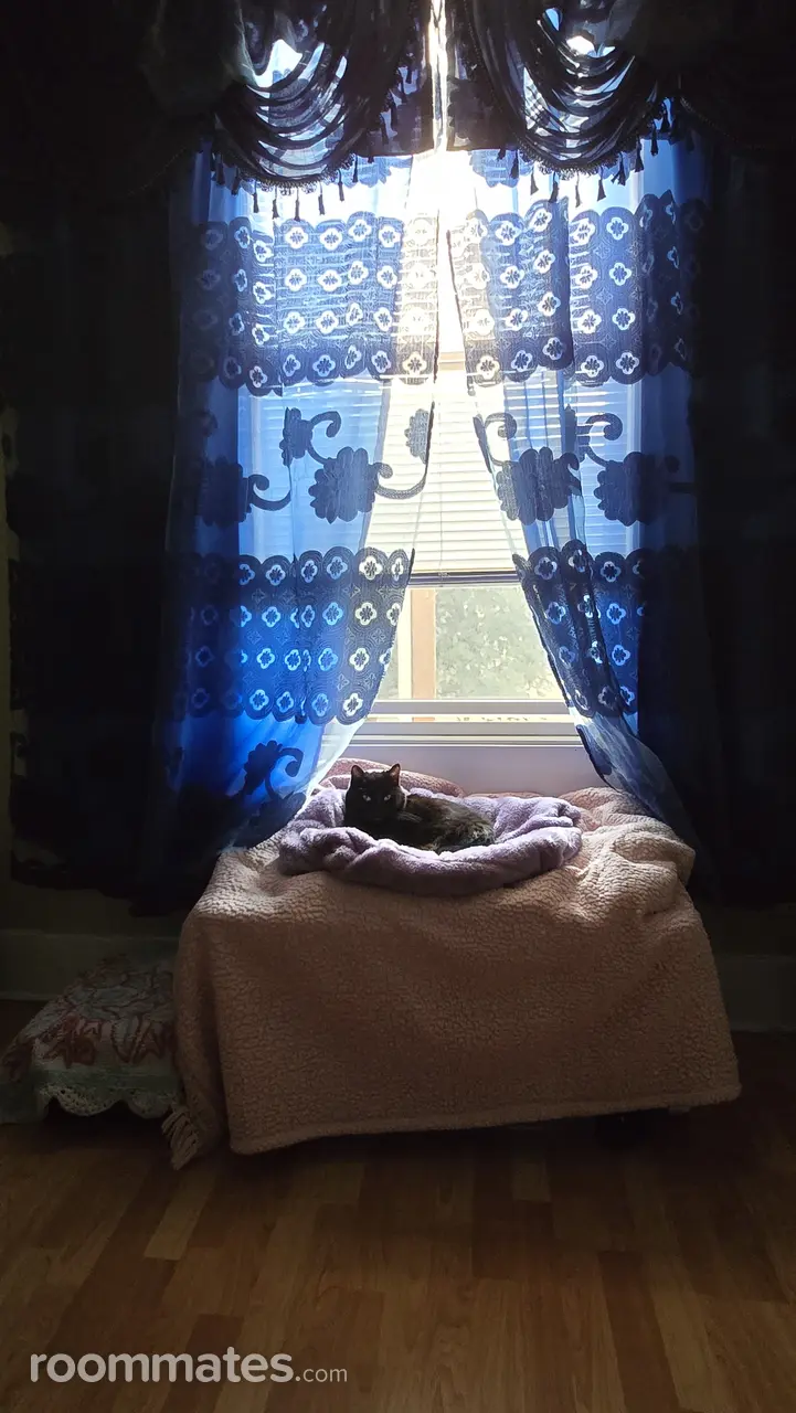 Profile photo 2 of 8