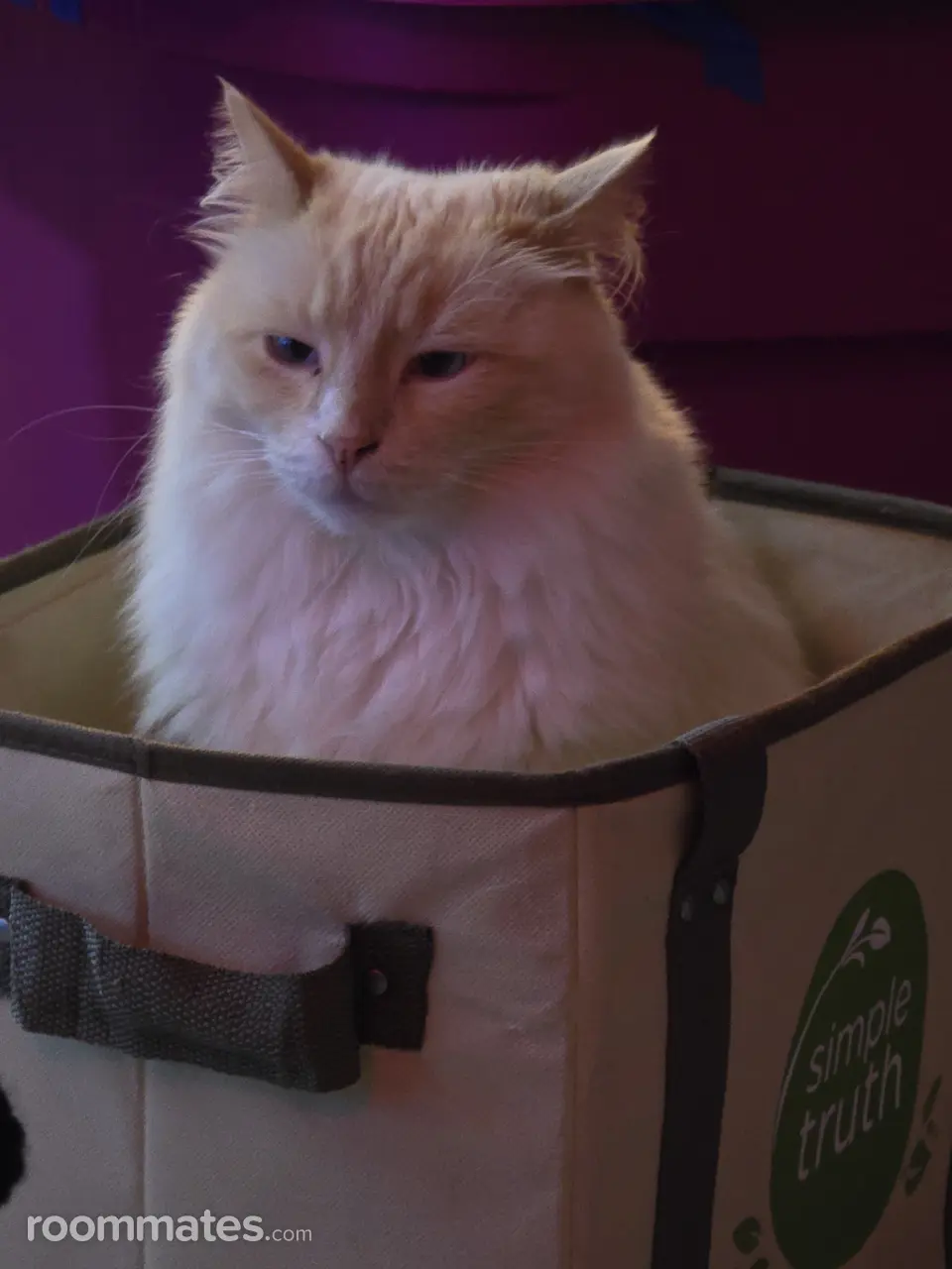 Profile photo 3 of 8