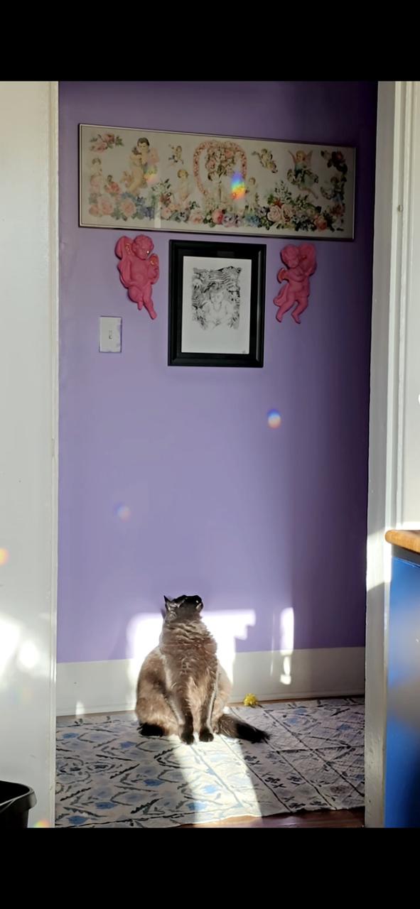 Profile photo 1 of 8