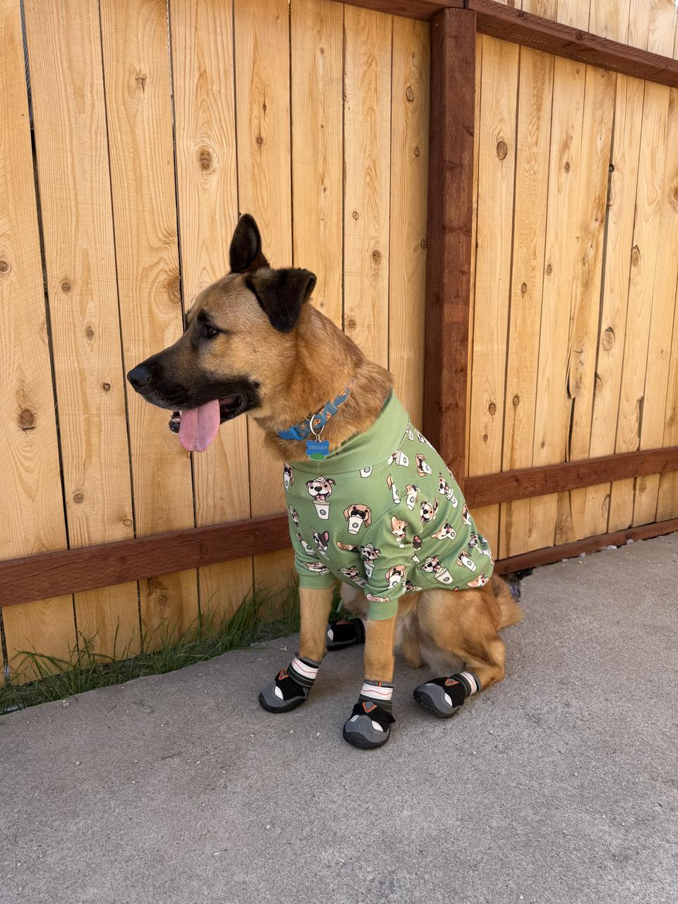 Profile photo 6 of 10