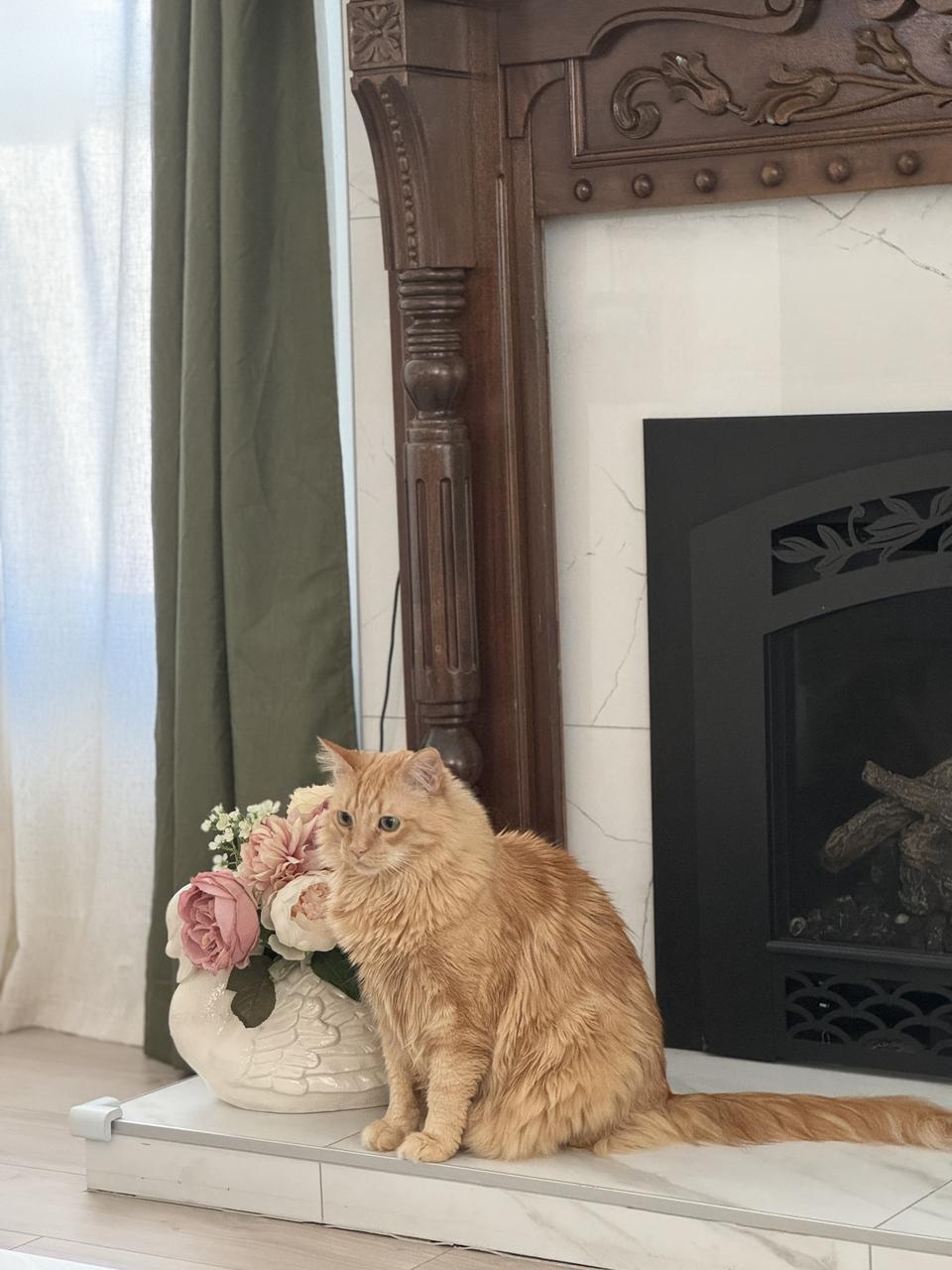 Profile photo 6 of 9