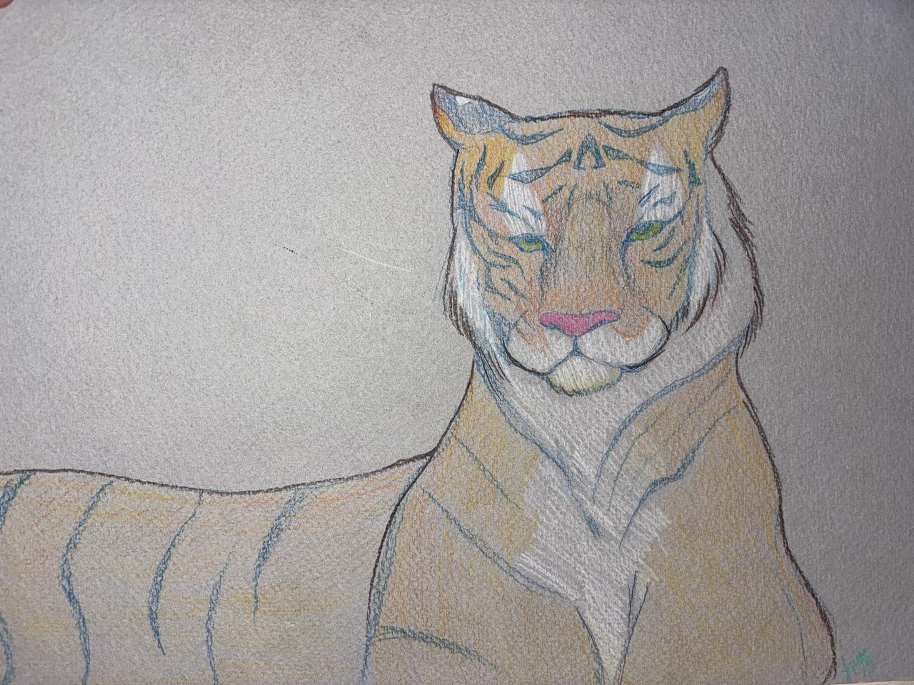 Profile photo 6 of 6