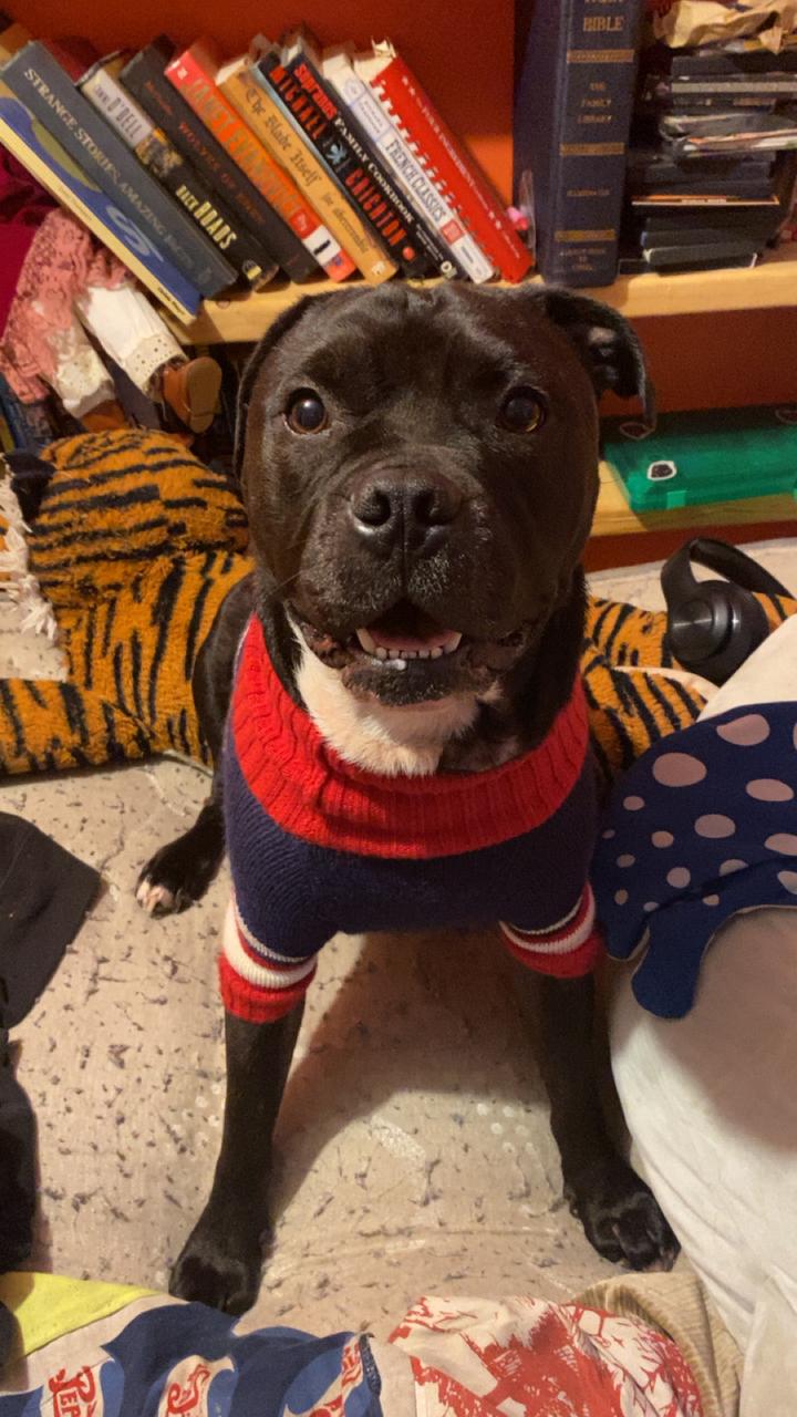 Profile photo 2 of 6