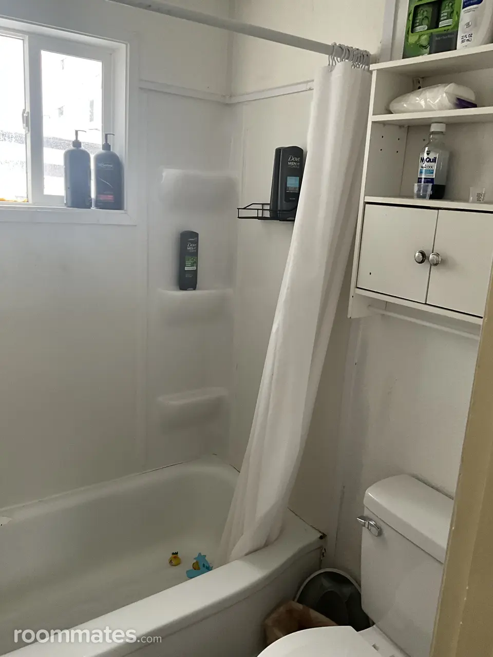 Profile photo 3 of 11