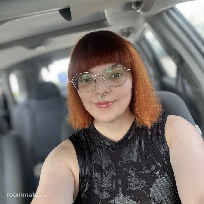 Roommate looking Miami, FL, $800