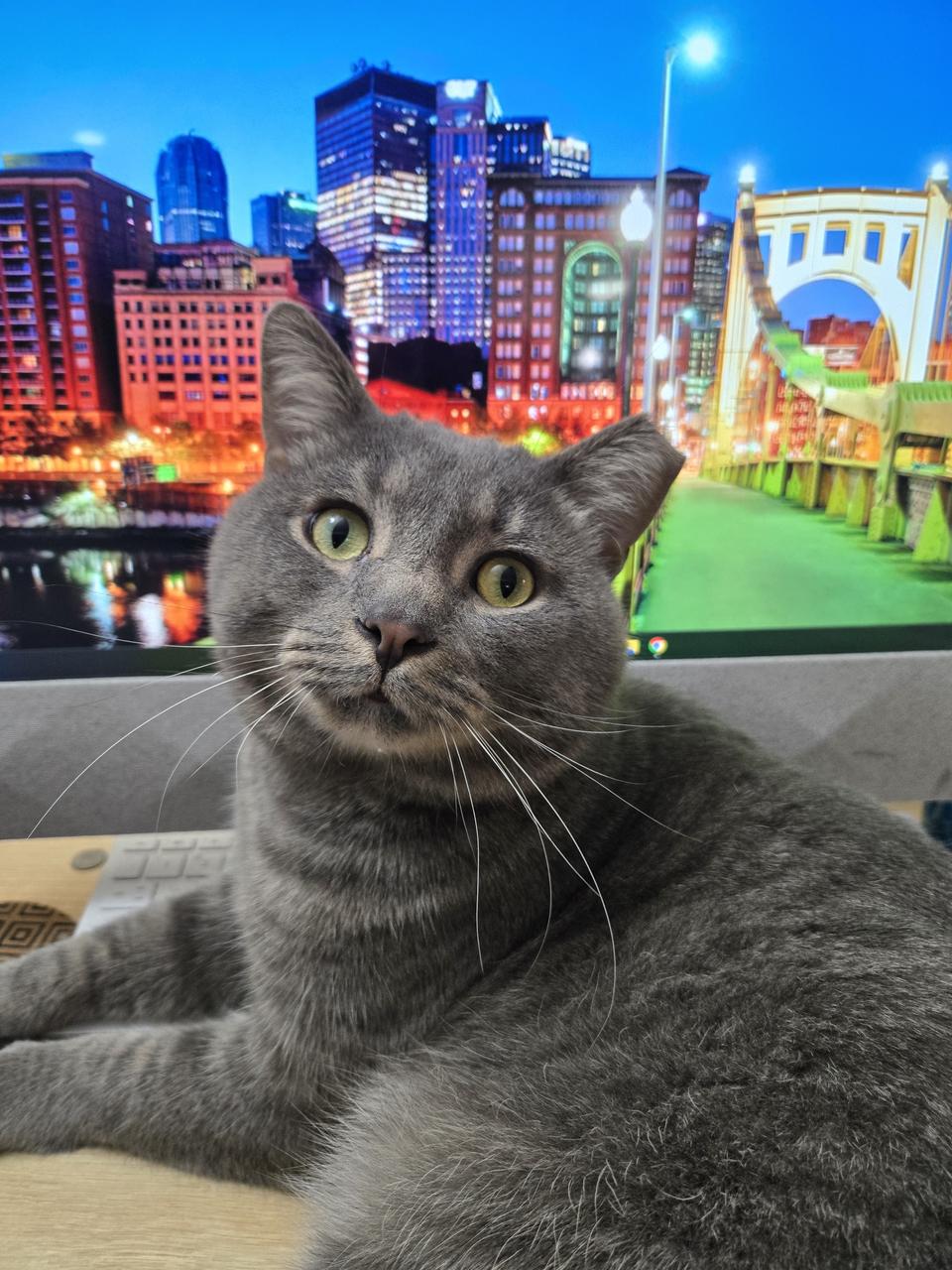 Profile photo 2 of 2